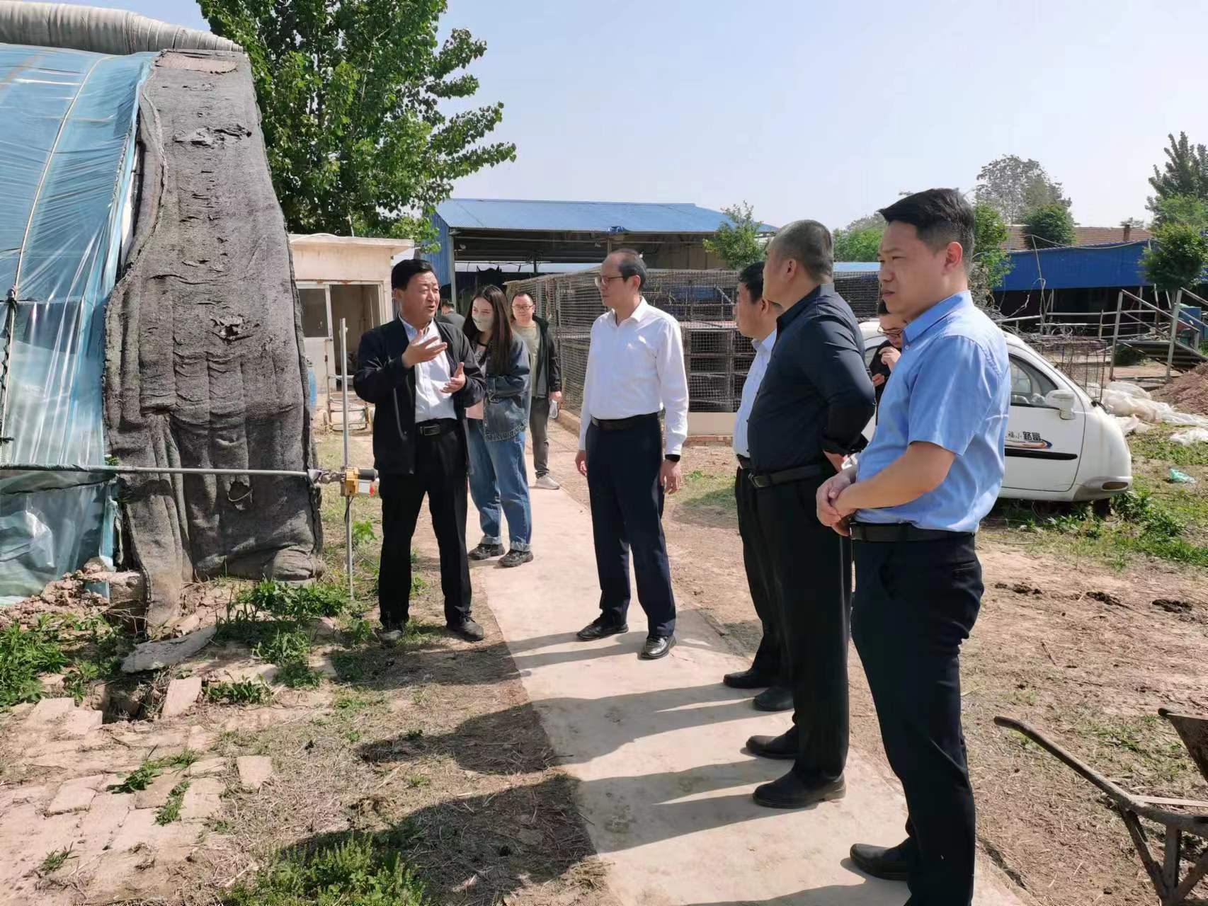 左建刚陪同省农业农村厅领导开展督导检查活动